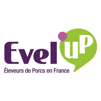 logo Evel up